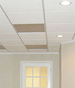 Basement ceiling tiles - Madisonville and Haubstadt