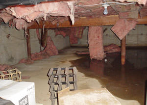 fiberglass insulation dripping off the ceiling of a crawl space in Fort Knox.