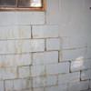 A cracked foundation wall near a window in a Petersburg home