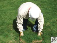 Restoring the landscaping by replacing removed sod on the ground for a Sheperdsville home.