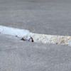 Slab floor cracks showing in a Petersburg home