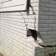 foundation walls cracked due to settlement in Evansville