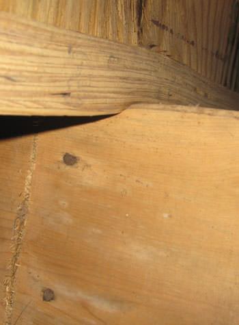 severe damage to a crawl space structure in a Fort Knox home