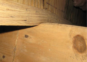 A failing girder showing signs of compression damage in a Indiana and Kentucky home