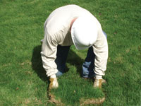 Restoring the landscaping by replacing removed lawn sections for a Madisonville home.
