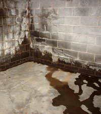 Water seeping through a concrete wall in a Morganfield basement