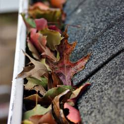 Clogged gutters filled with fall leaves  in Hardinsburg